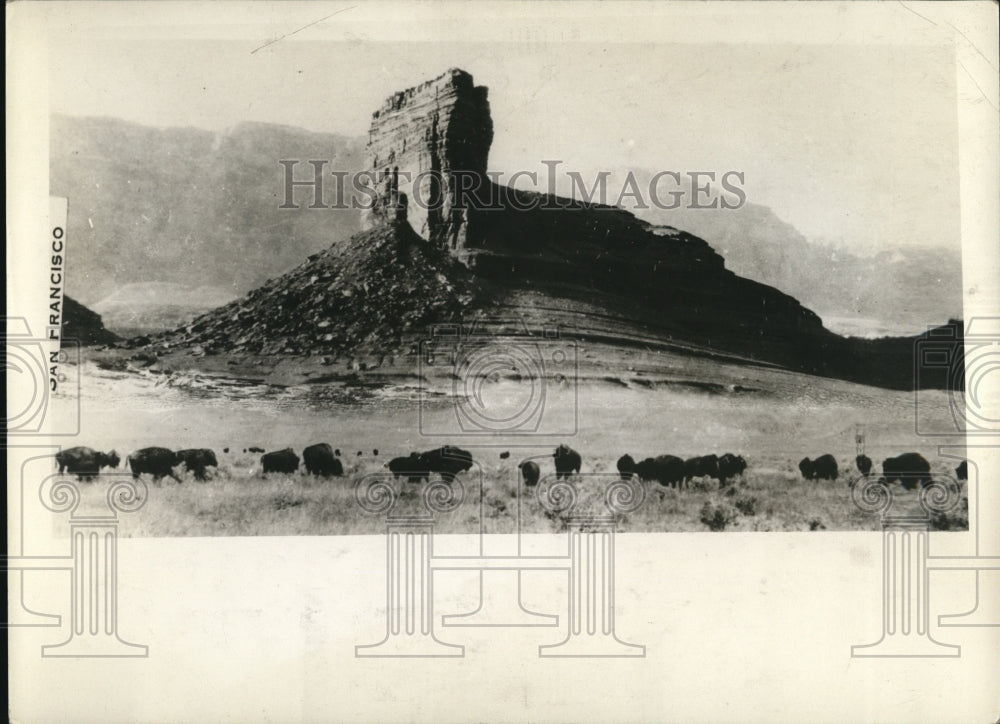 1930 Press Photo House Rock Valley in Arizona