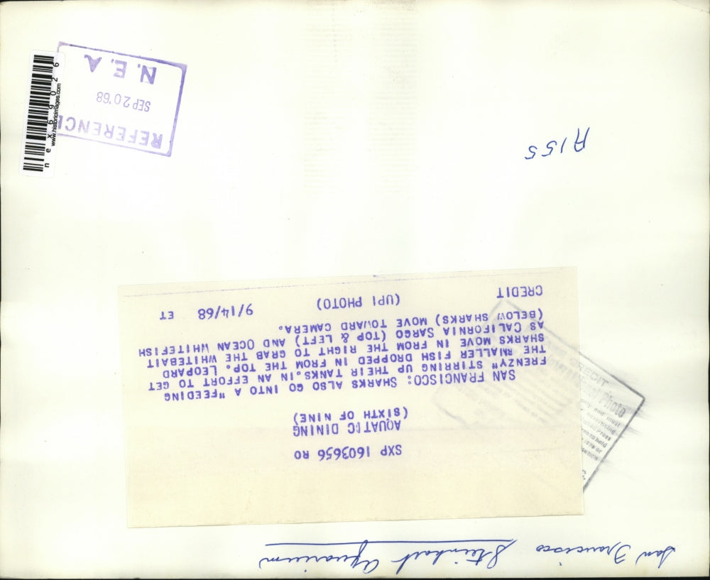 1968 Press Photo San Francisco Aquarium - nex69026