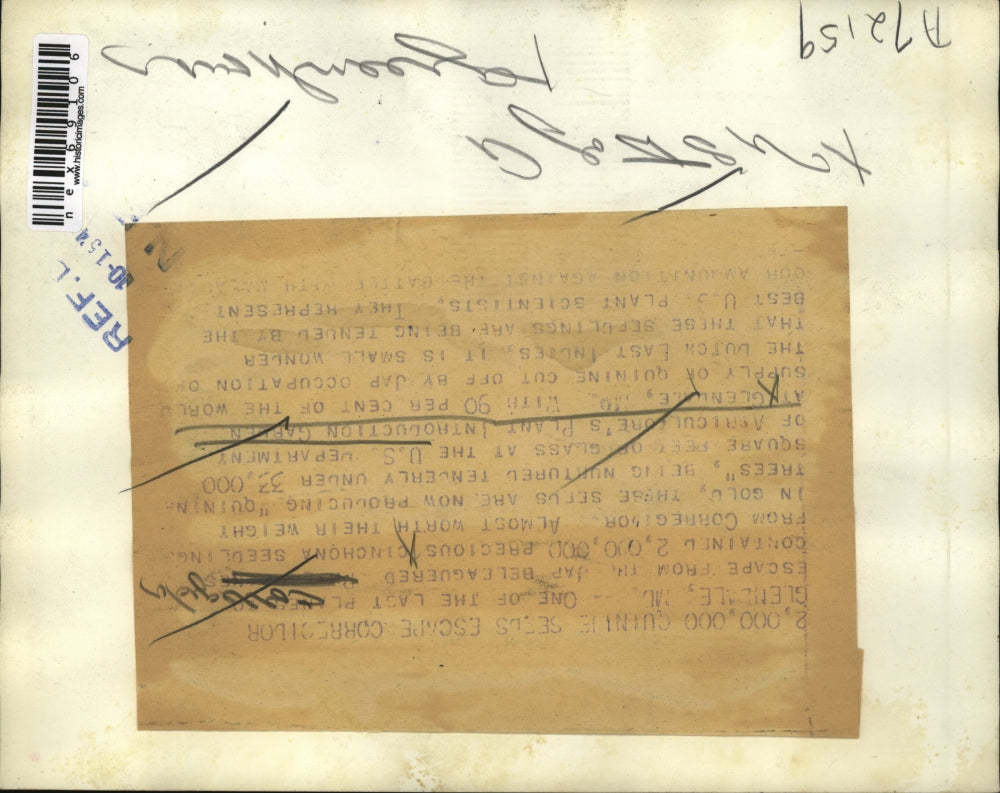 1940 Press Photo USDA plant introduction garden at Glendale Md