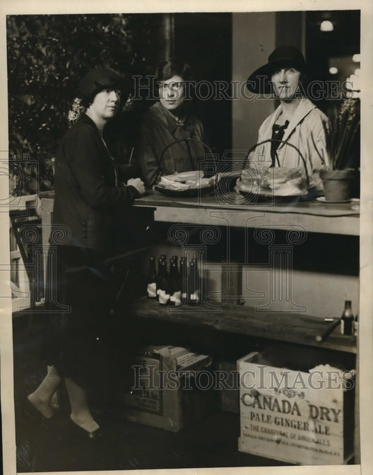 1927 Press Photo NYC VL Alexandre, Mrs Wm Lyon , Mrs CH Boner,League of Girls