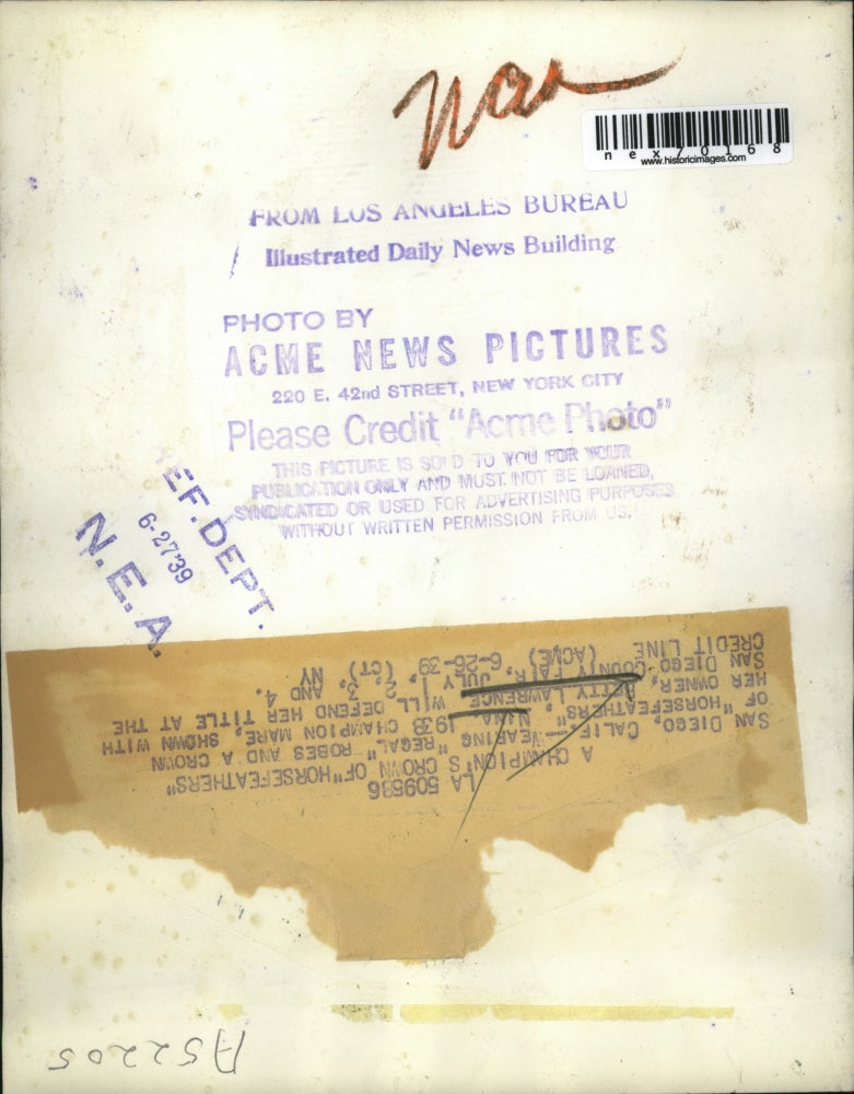 1939 Press Photo San Diego Calif Betty Lawrence & champion mare Nina