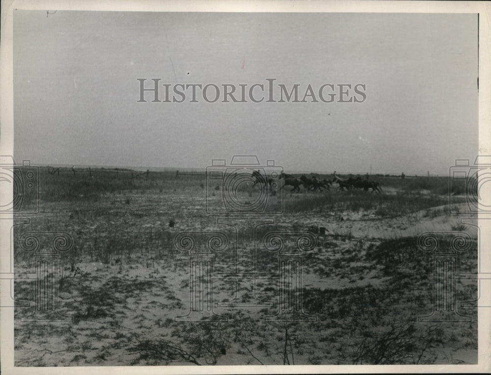 1946 Press Photo Men chase a herd of horses into a corrall