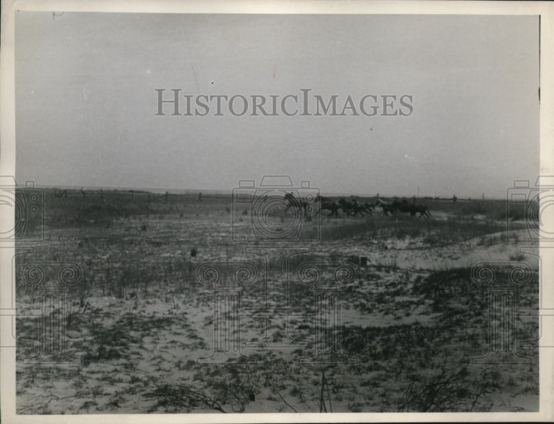 Load image into Gallery viewer, 1946 Press Photo Men chase a herd of horses into a corrall
