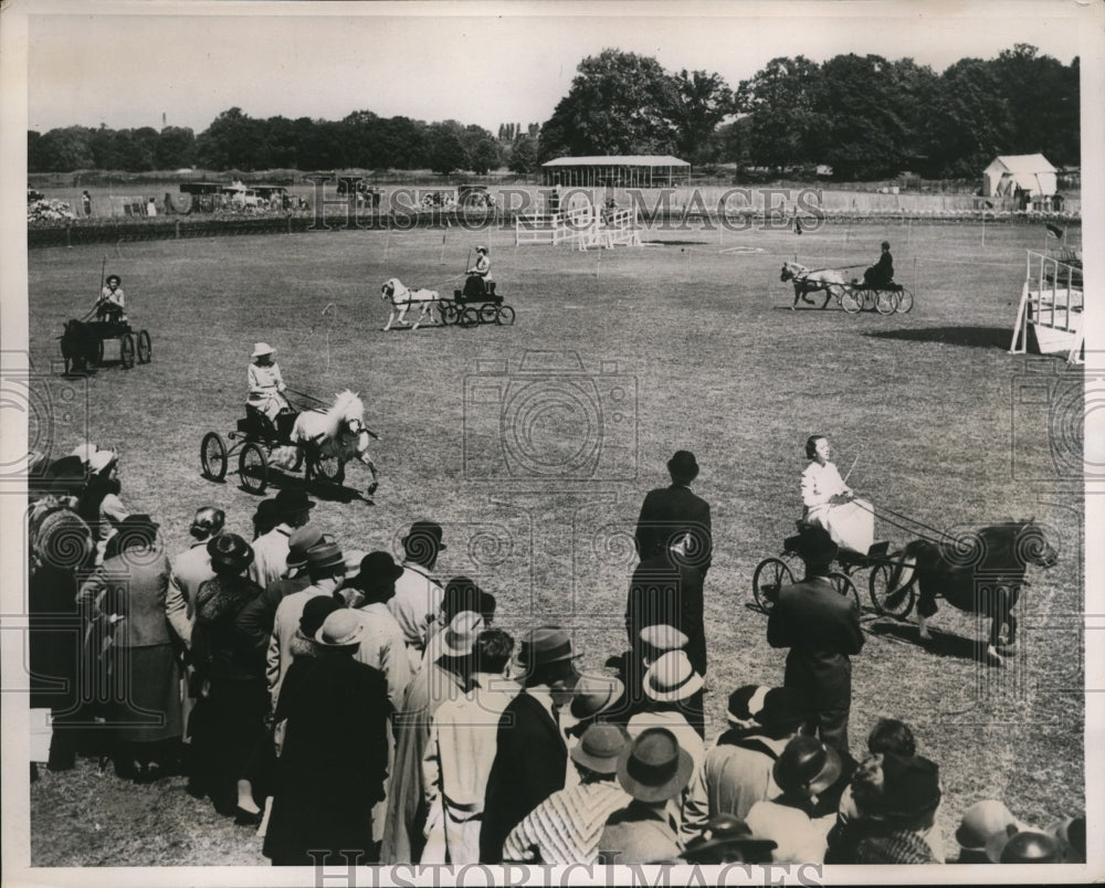 1938 Press Photo Shetland ponies at English horse show