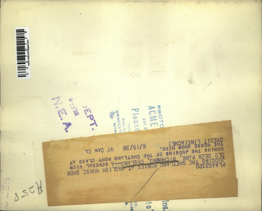 1938 Press Photo Shetland ponies at English horse show