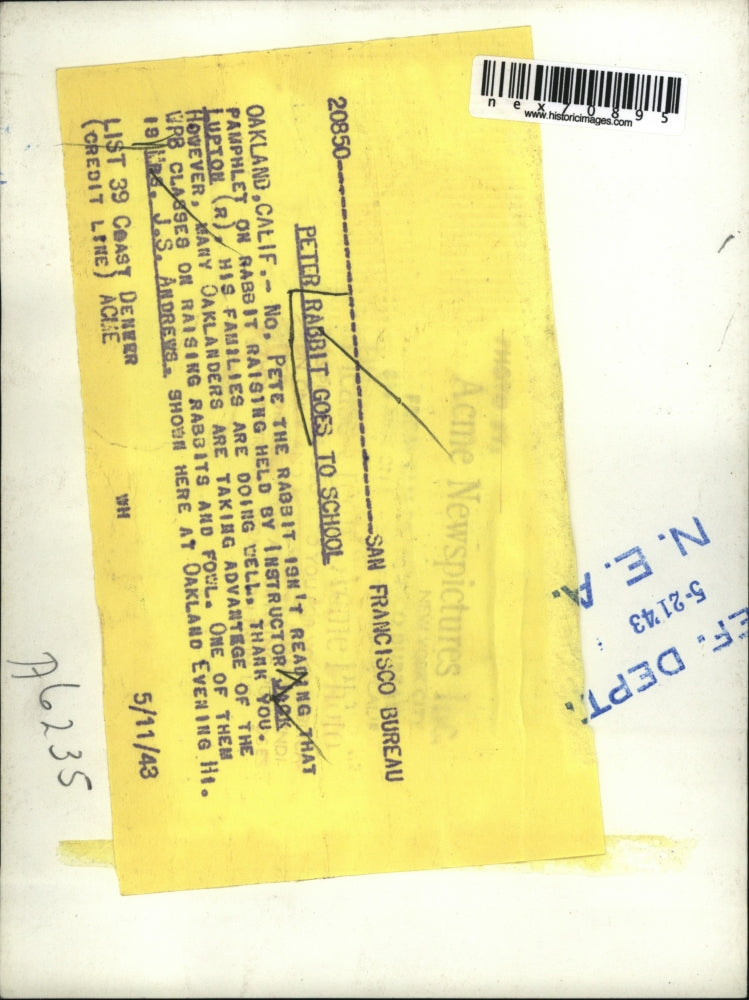 1943 Press Photo Oakland Calif Jack Lupton, Mrs JS Andrews & a rabbit