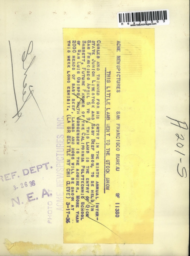 1936 Press Photo Dick Barrett Enters Lamb In 9th Annual Livestock Show