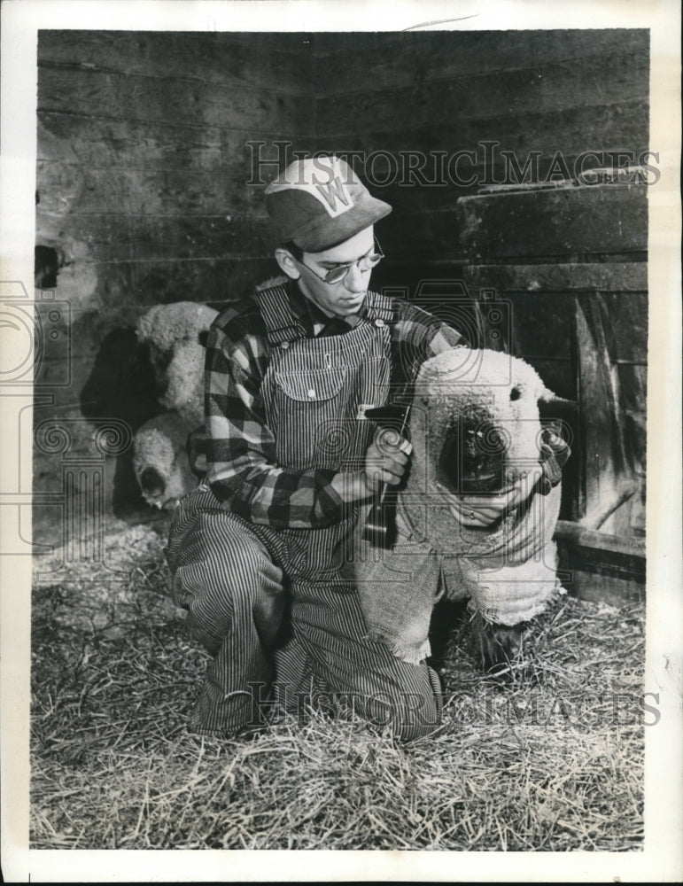 Load image into Gallery viewer, 1943 Press Photo Rudy Branel University of Wisconsin in Madison livestock show
