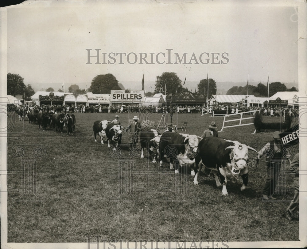 1927 Press Photo Royal Counties Livestock Show In Winchester England