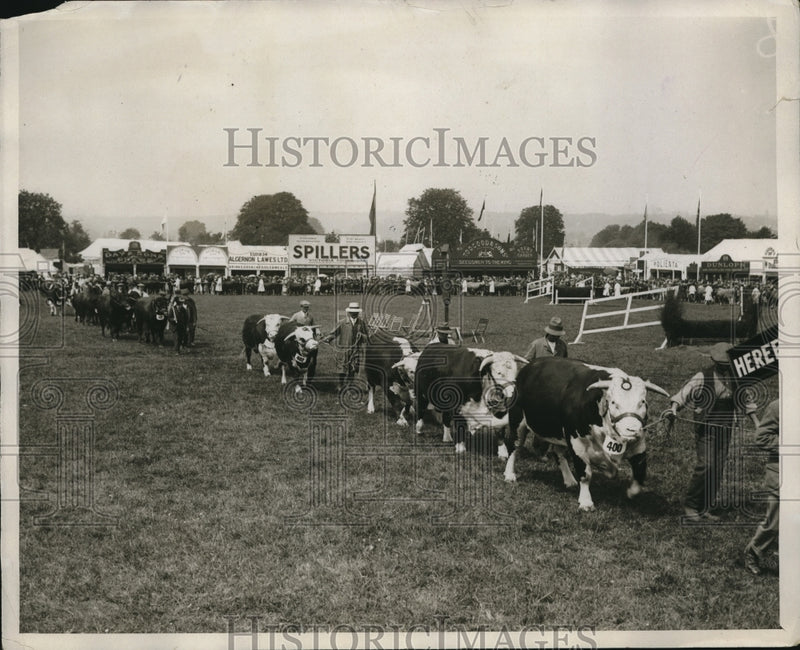 Load image into Gallery viewer, 1927 Press Photo Royal Counties Livestock Show In Winchester England
