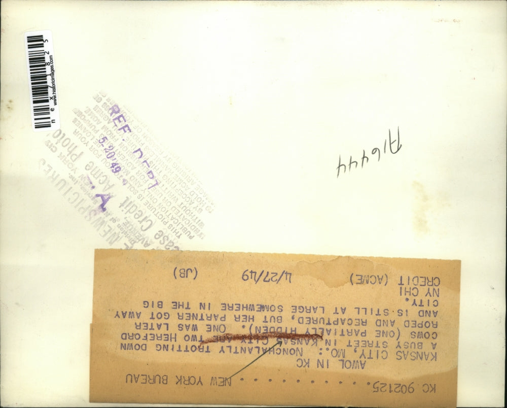 1949 Press Photo Two Hereford Cows Trotting Down Kansas City Streets