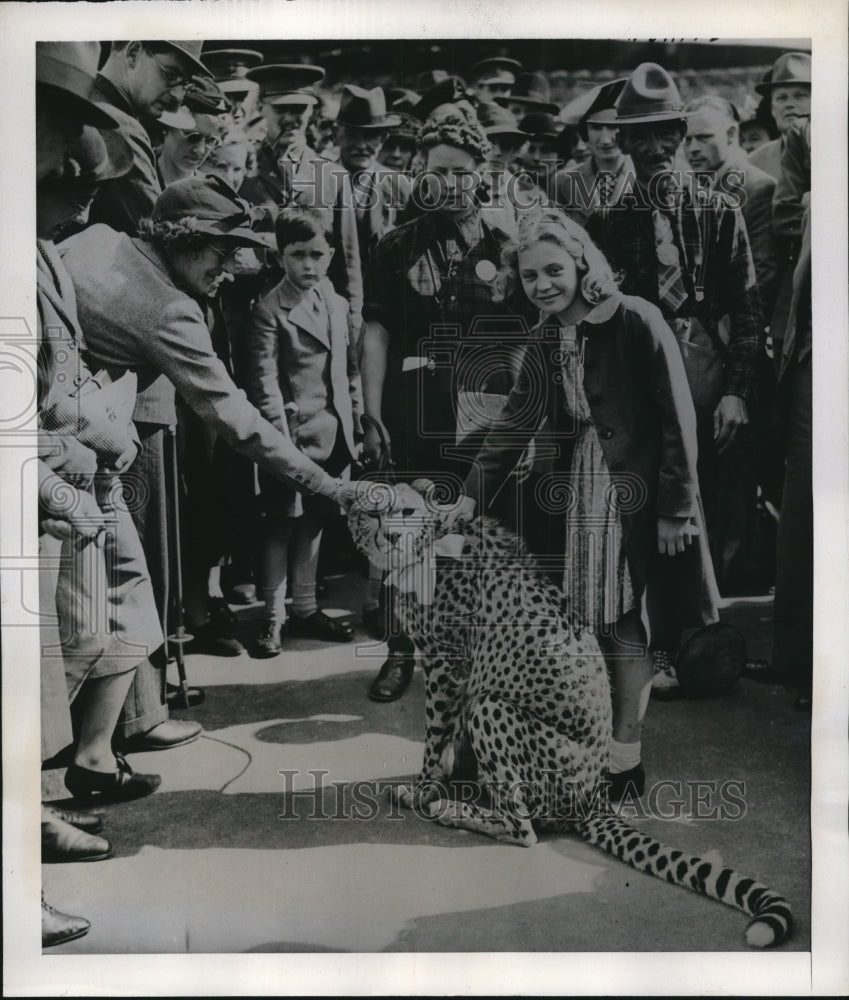 1939 Press Photo Pongo, 1 of the 9 Cheetah who raced during the Aldershot Show