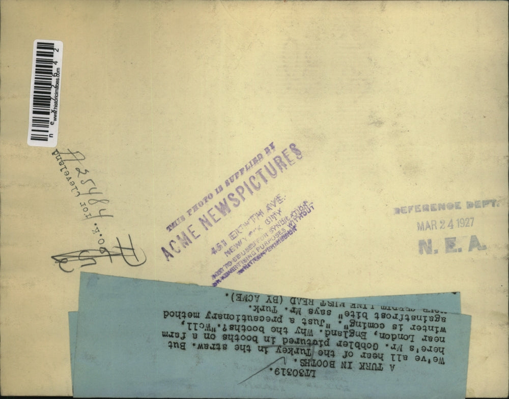 1927 Press Photo Mr. Gobbler in booths on a farm near London, England