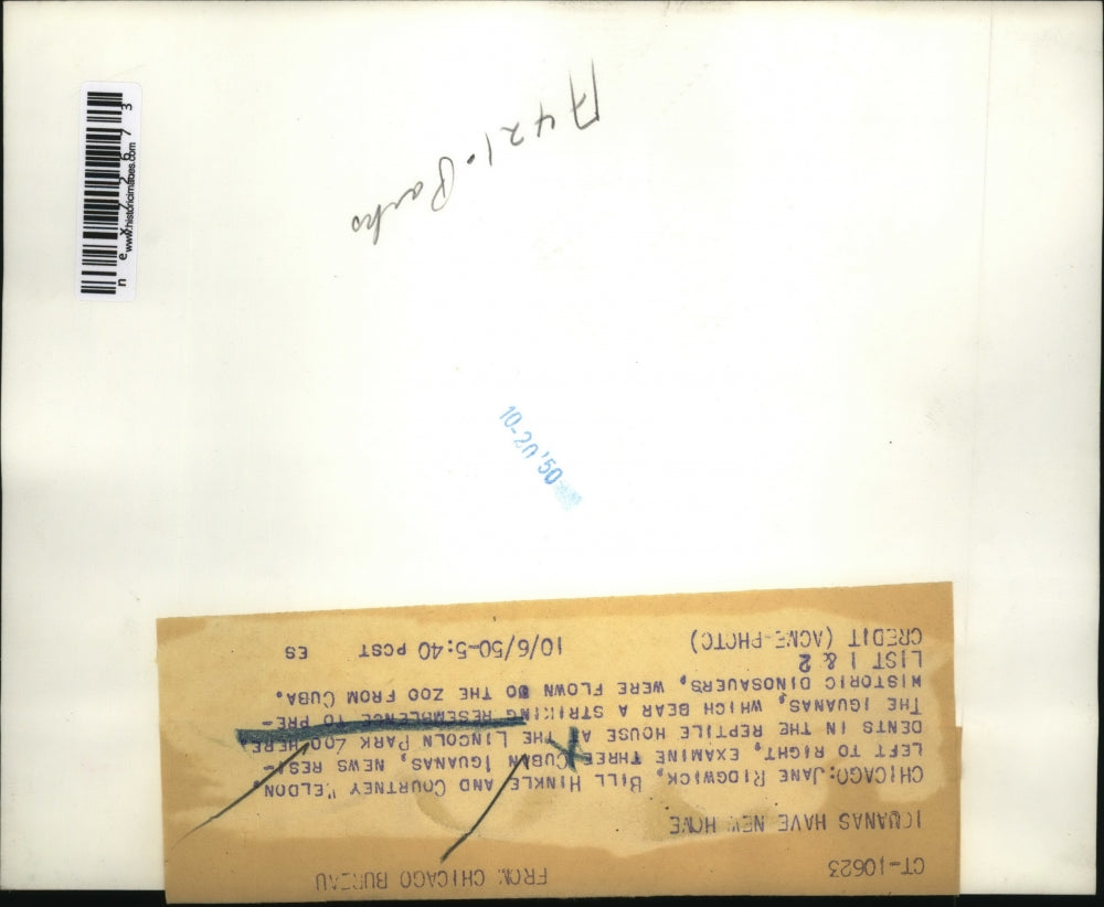 1950 Press Photo Jane Ridgwick, Bill Hinkle, Courtney Weldon, Cuban Iguanas