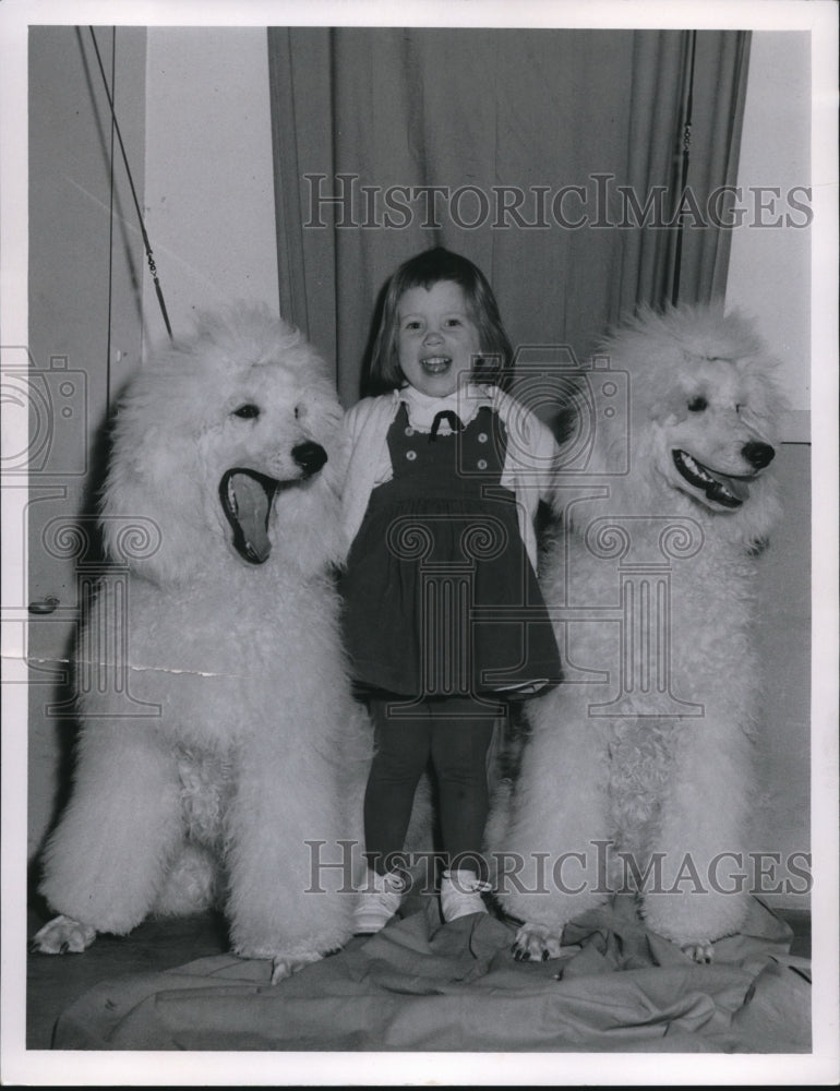 Load image into Gallery viewer, 1960 Press Photo Cathy Schrems age 2 &amp; two white poodles
