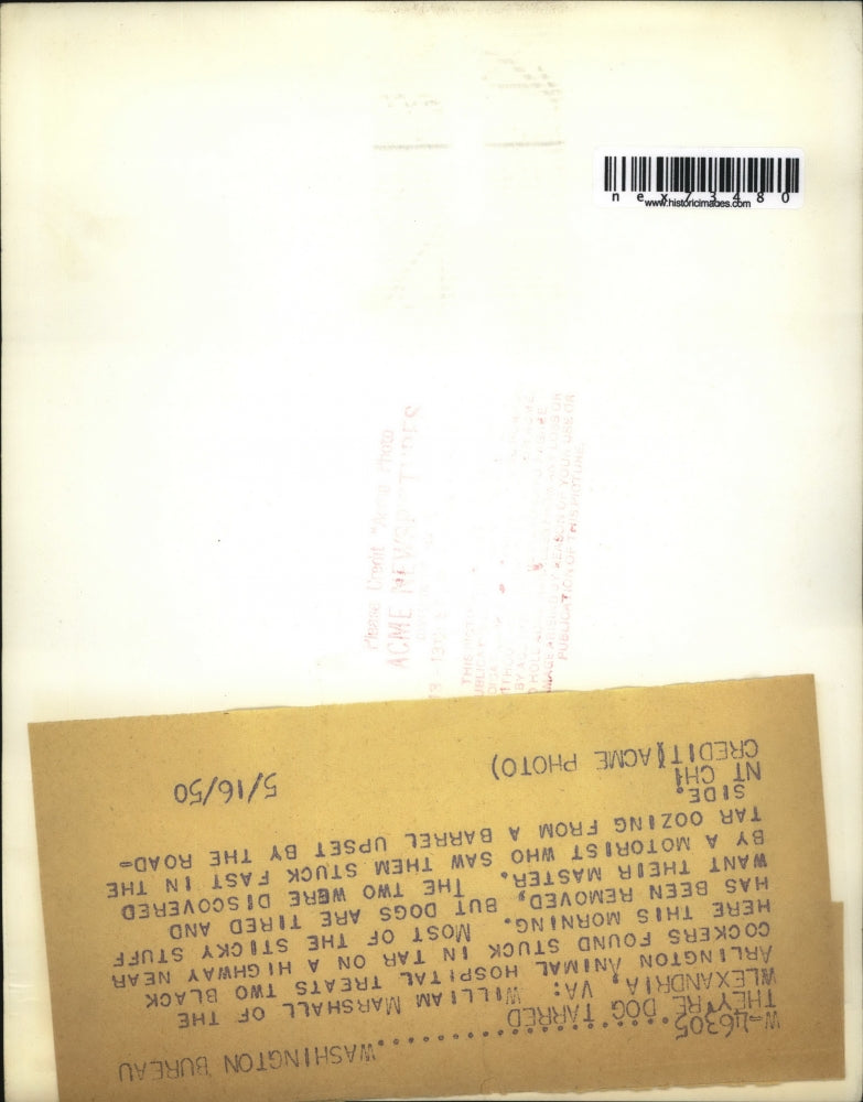 1950 Press Photo Alexandria Va William Marshall & dogs ar Animal hospital