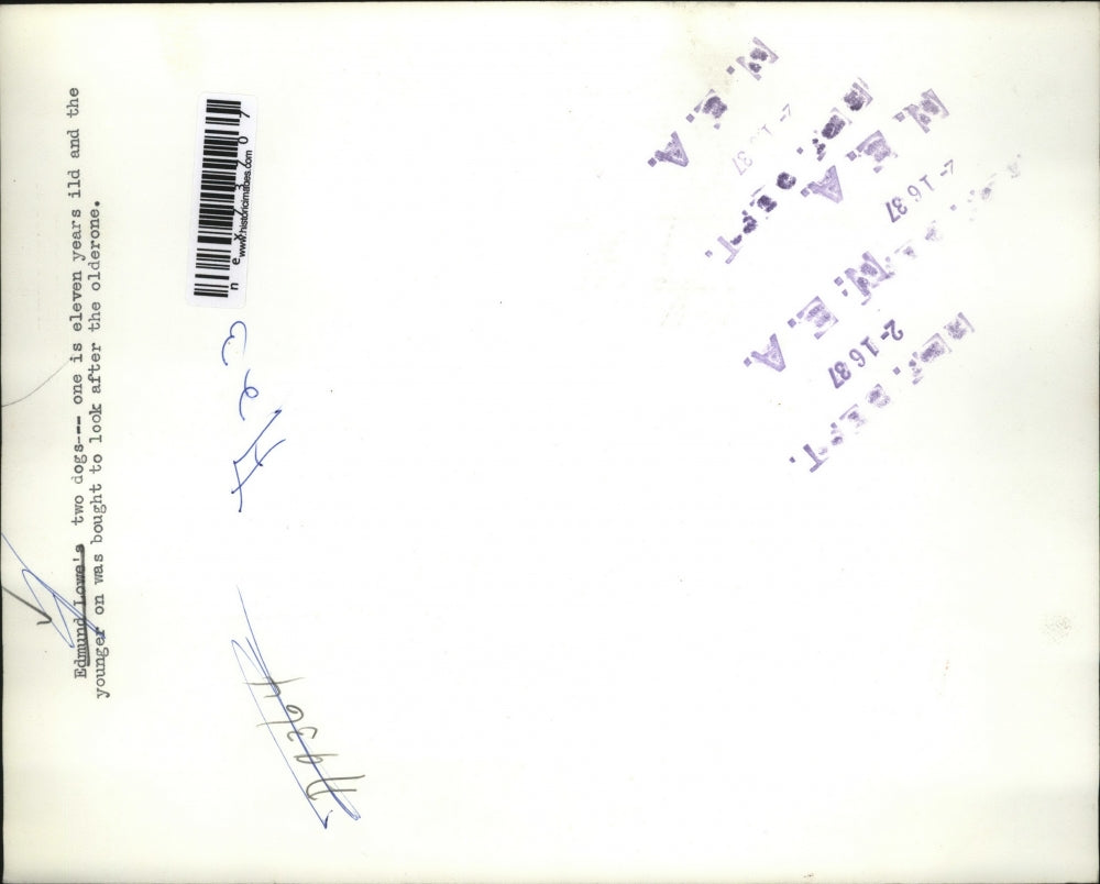 1937 Press Photo Edmund Lowe's two dogs age 11 and 1 out for walk