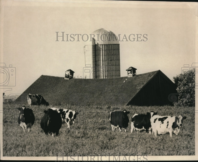 Load image into Gallery viewer, 1968 Press Photo Shullsberg Wisconsin sway back barn/shelter
