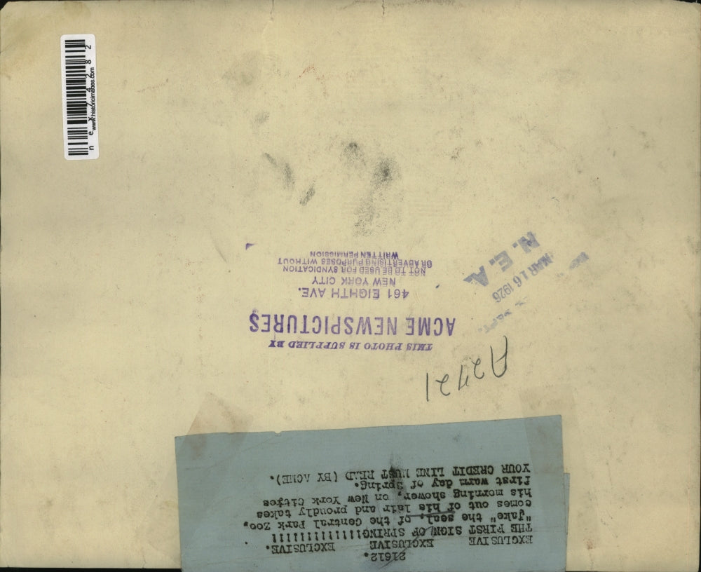 1926 Press Photo Jake the seal Central Park Zoo, warm day of spring