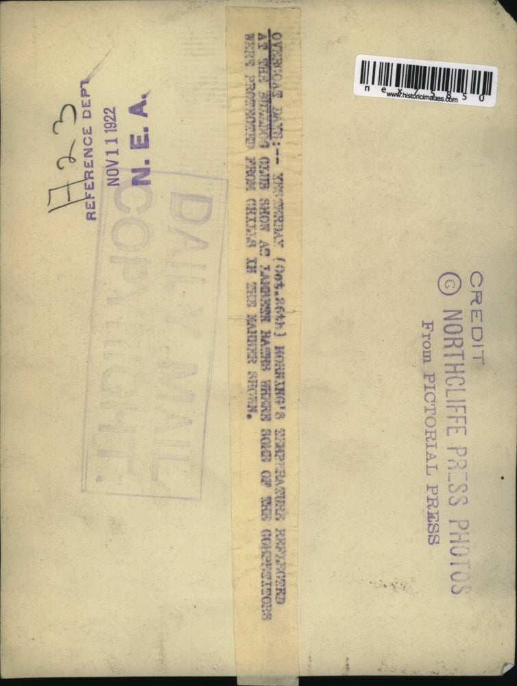 1922 Press Photo Bulldog Club show at Lambert Haths