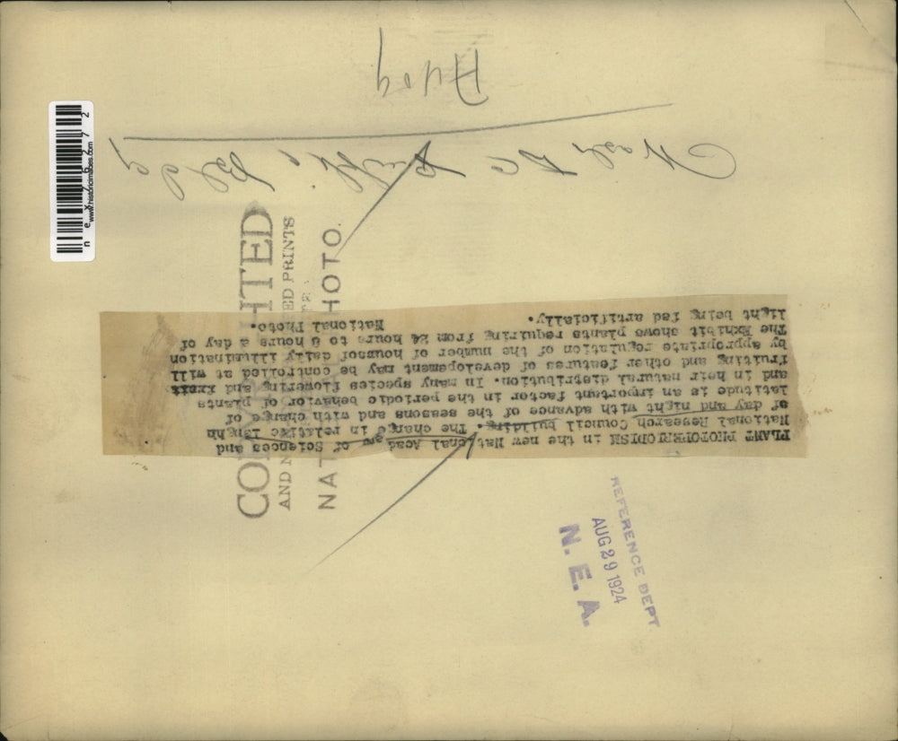 1924 Press Photo Plant Photoperiodism National Academy Sciences Research Council