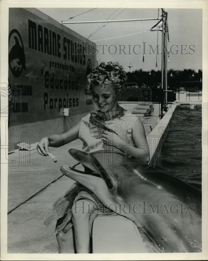 1963 Press Photo Marineland oceanarium in Fla porpoise performing