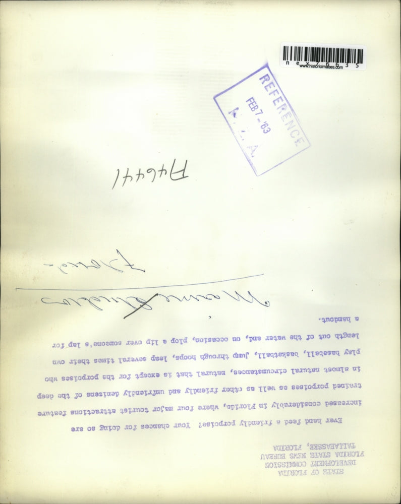 1963 Press Photo Marineland oceanarium in Fla porpoise performing