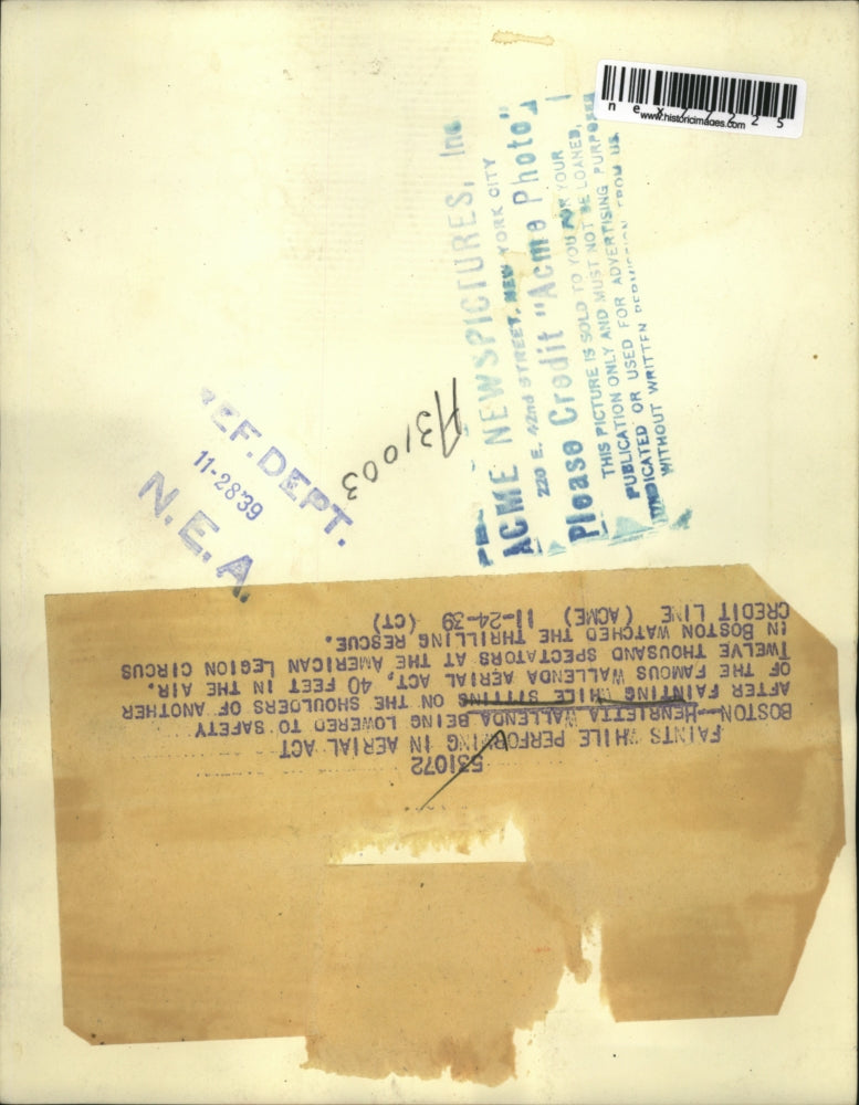 1939 Press Photo Henrietta Wallenda lowered to safety after feinting 40 feet up