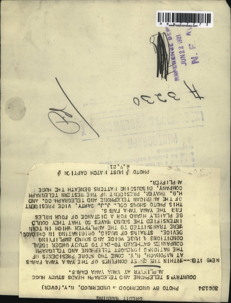 1921 Press Photo Amplifier of Yama Yama Farms at Naponnach NY