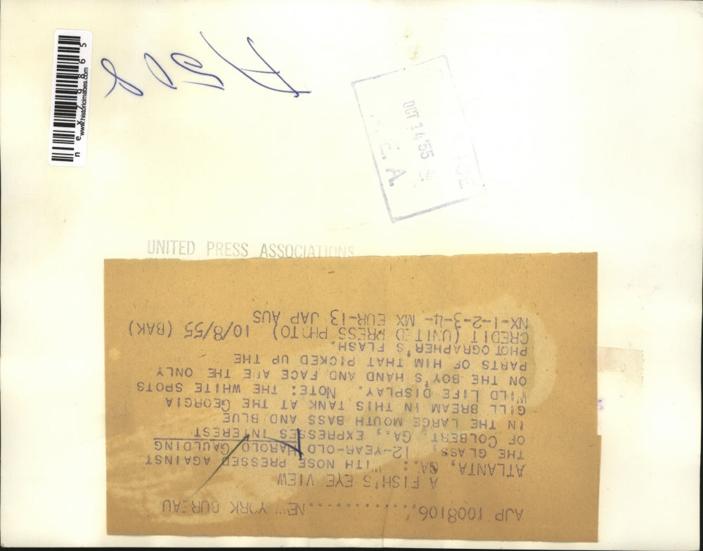 1955 Press Photo Atlanta Ga Harold Gaulding & blue gill at aquarium display