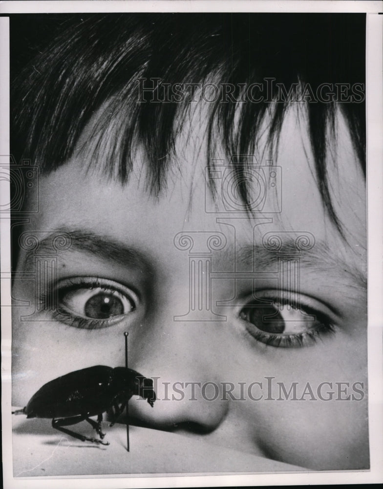 1954 Press Photo NYC Stephen Kochief & a beetle on his nose
