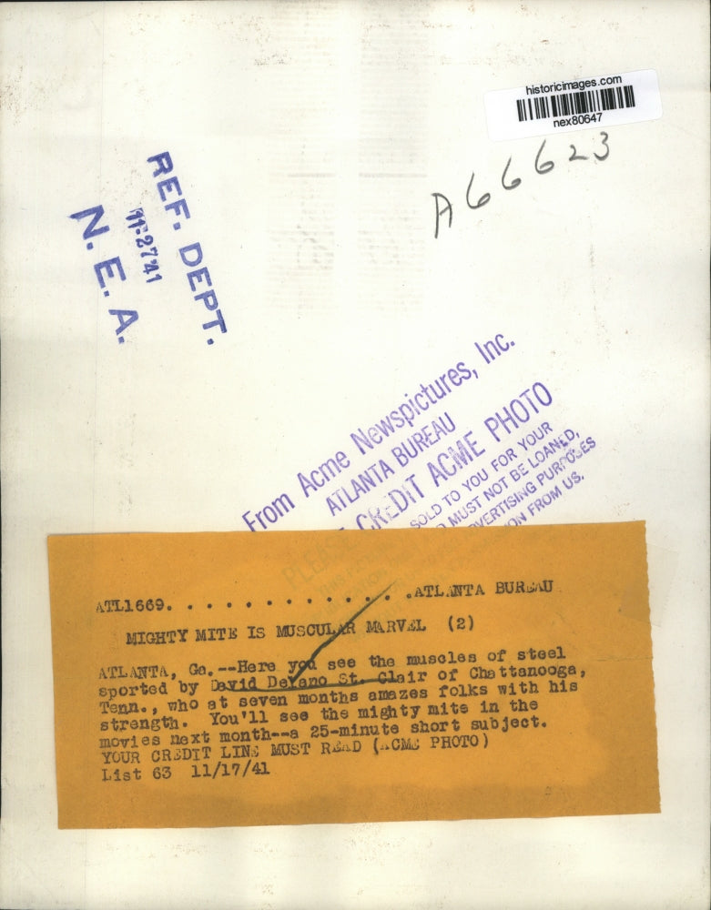 1941 Press Photo Muscular Baby David Delano St Clair of Chattanooga Tennessee