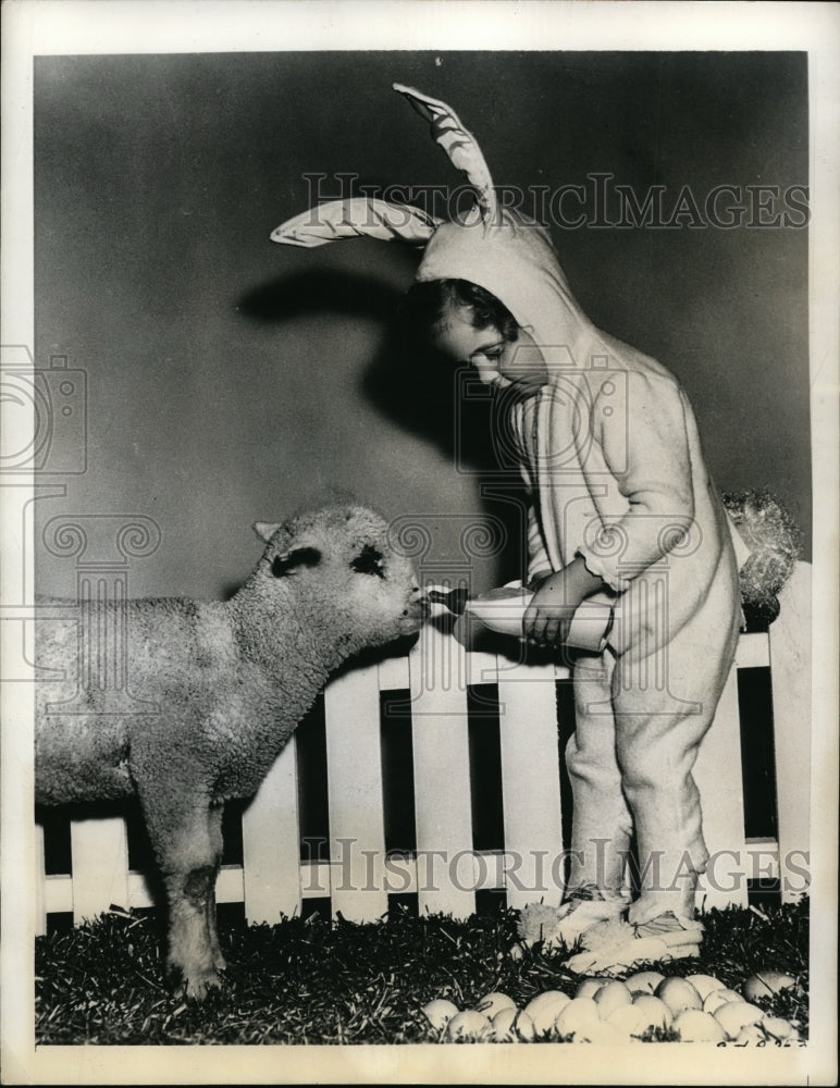 Load image into Gallery viewer, 1941 Press Photo Baby Sandy Dressed as Bunny Feeding Lamb on Sandy Steps Out

