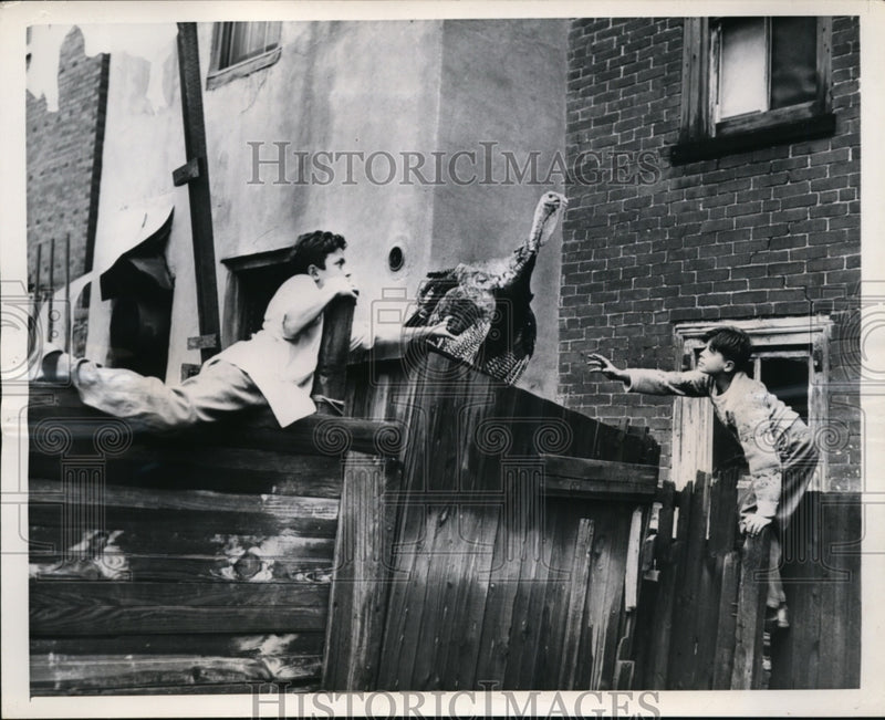 Load image into Gallery viewer, 1947 Press Photo Philadelphia Pa Walter Palmbo a turkey chase for Thanksgiving
