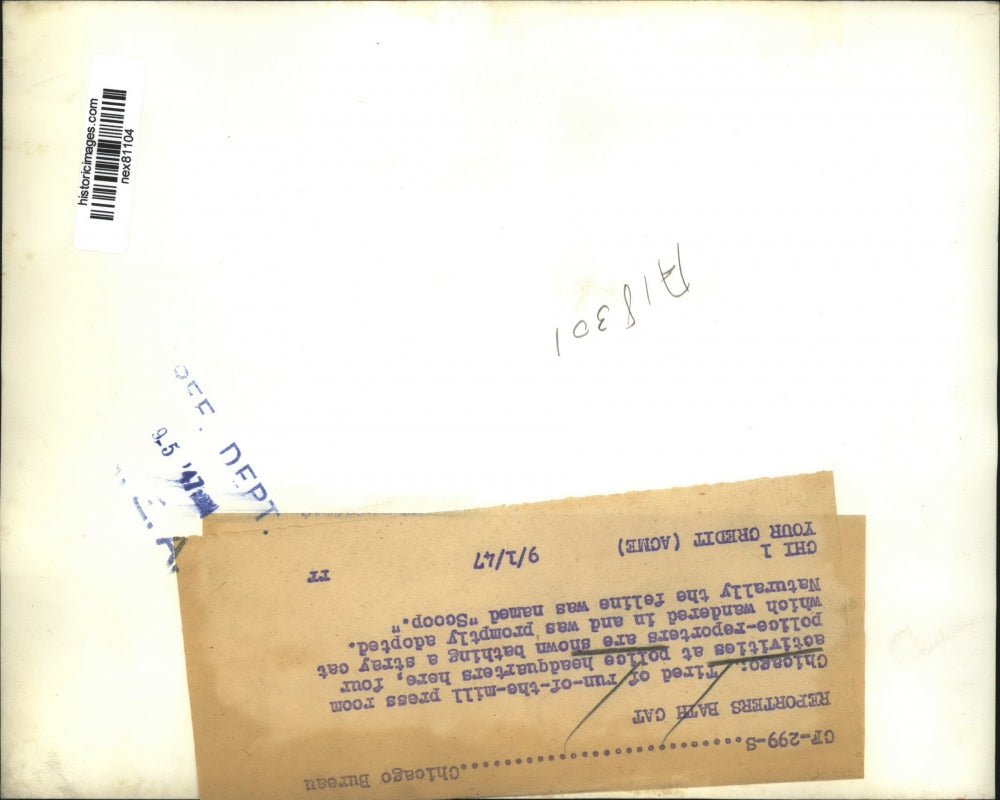 1947 Press Photo Chicago press room at police HQ & stray cat rescued