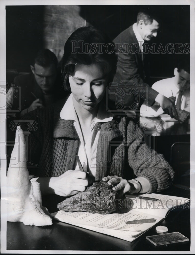 1960 Press Photo Marie Louise Hurley Stewardess & College Student City College- Historic Images