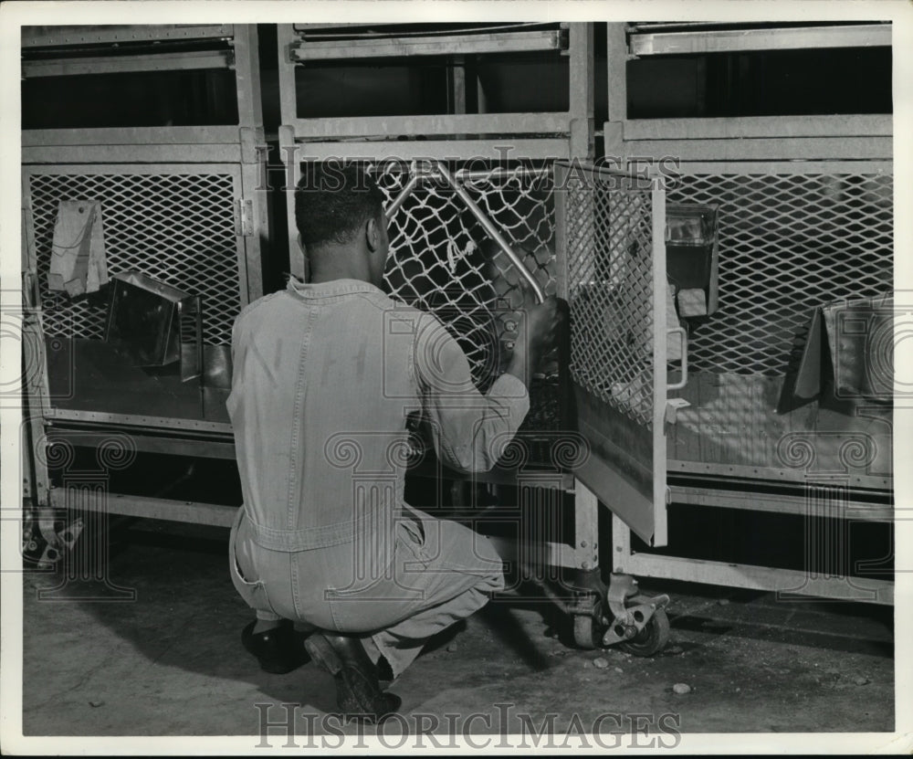 1961 Press Photo Netting is To Safely Handle Research Monkeys at Animal Hospital