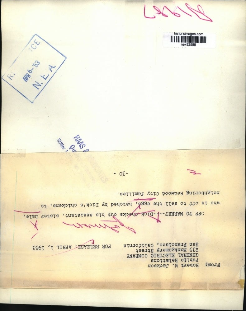 1953 Press Photo Dale & Dick with chicken eggs for sale in Calif