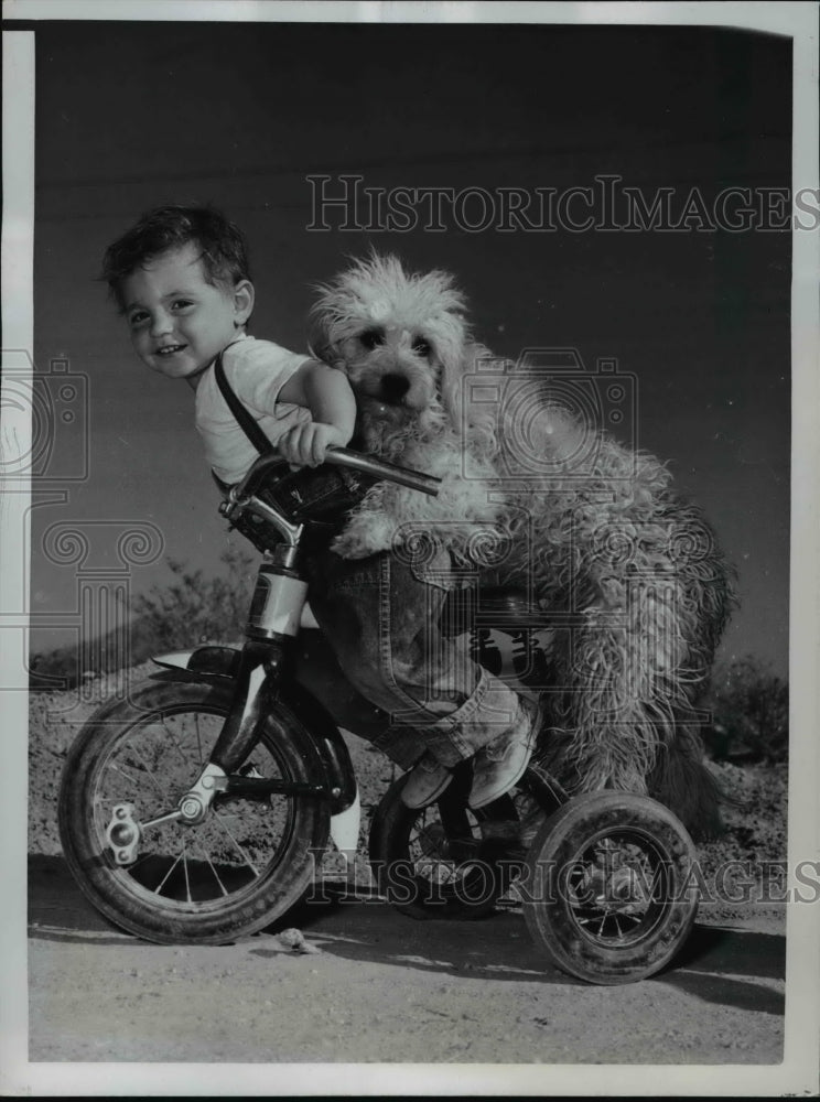 1951 Press Photo Las Vegas Nev Mark Buck & his dog Duke on tricycle