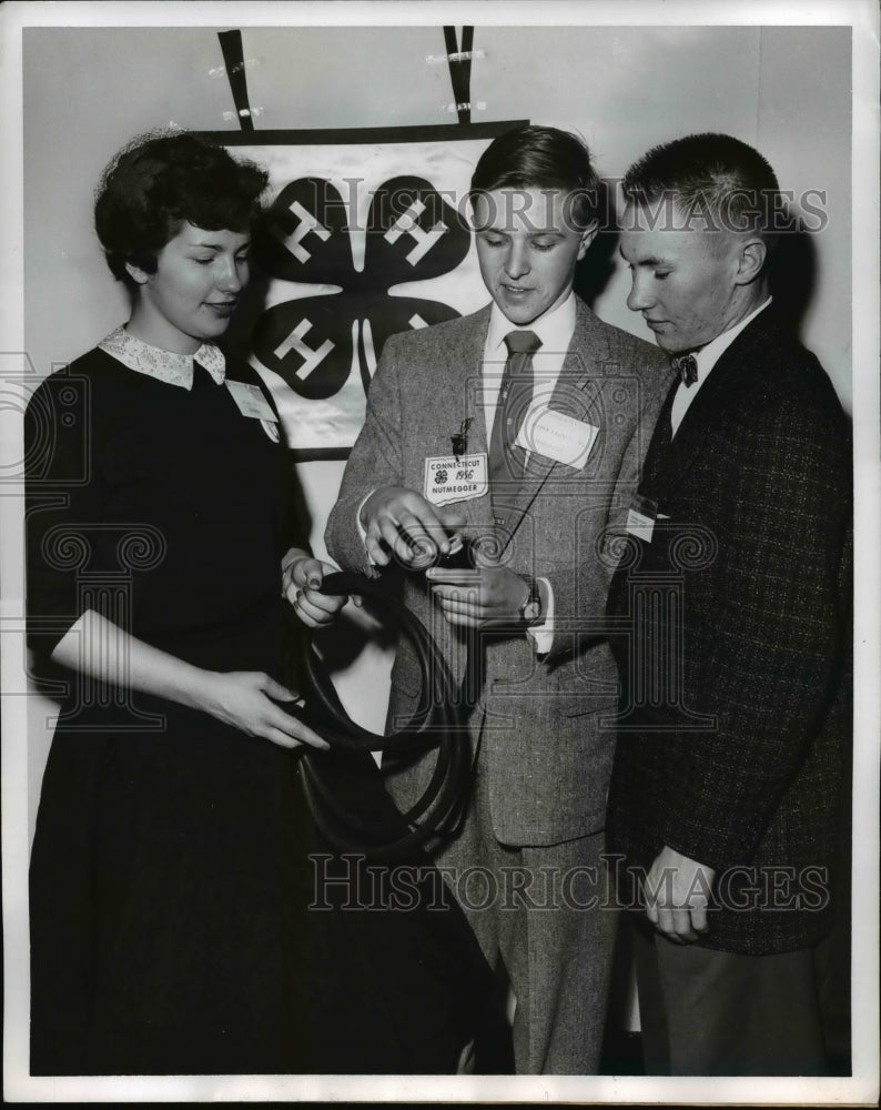 Load image into Gallery viewer, 1956 Press Photo Chicago Ill 4H club Jo Ann Baberm Andrew Kasznay Jr,

