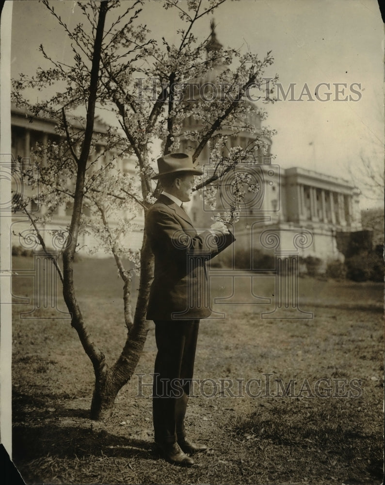 1924 Press Photo Senator Alvah V Adams of Colorado on Capitol grounds