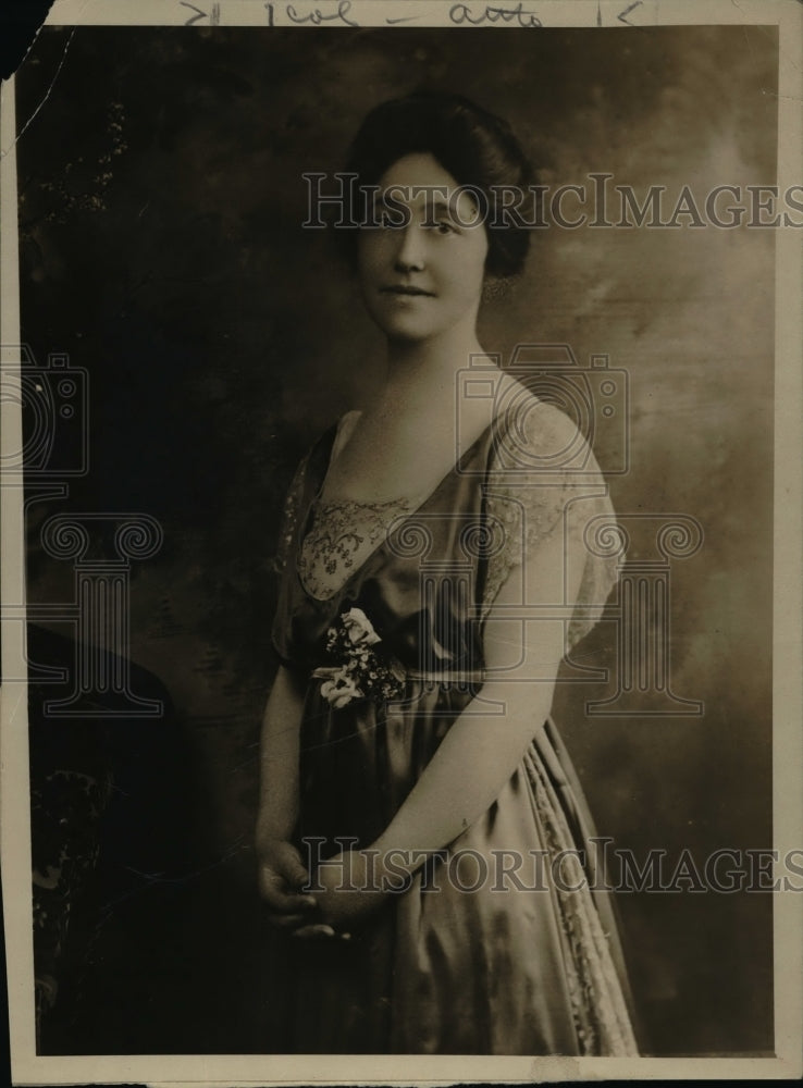 1919 Press Photo Mrs Alfred Bettmann Cinncinati Ohio war work in DC