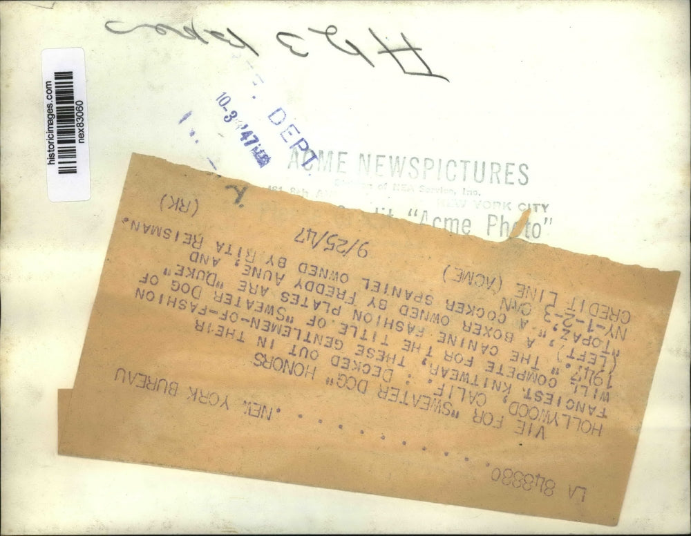 1947 Press Photo Hollywood Calif Sweater dog Duke & Topaz in knitwear