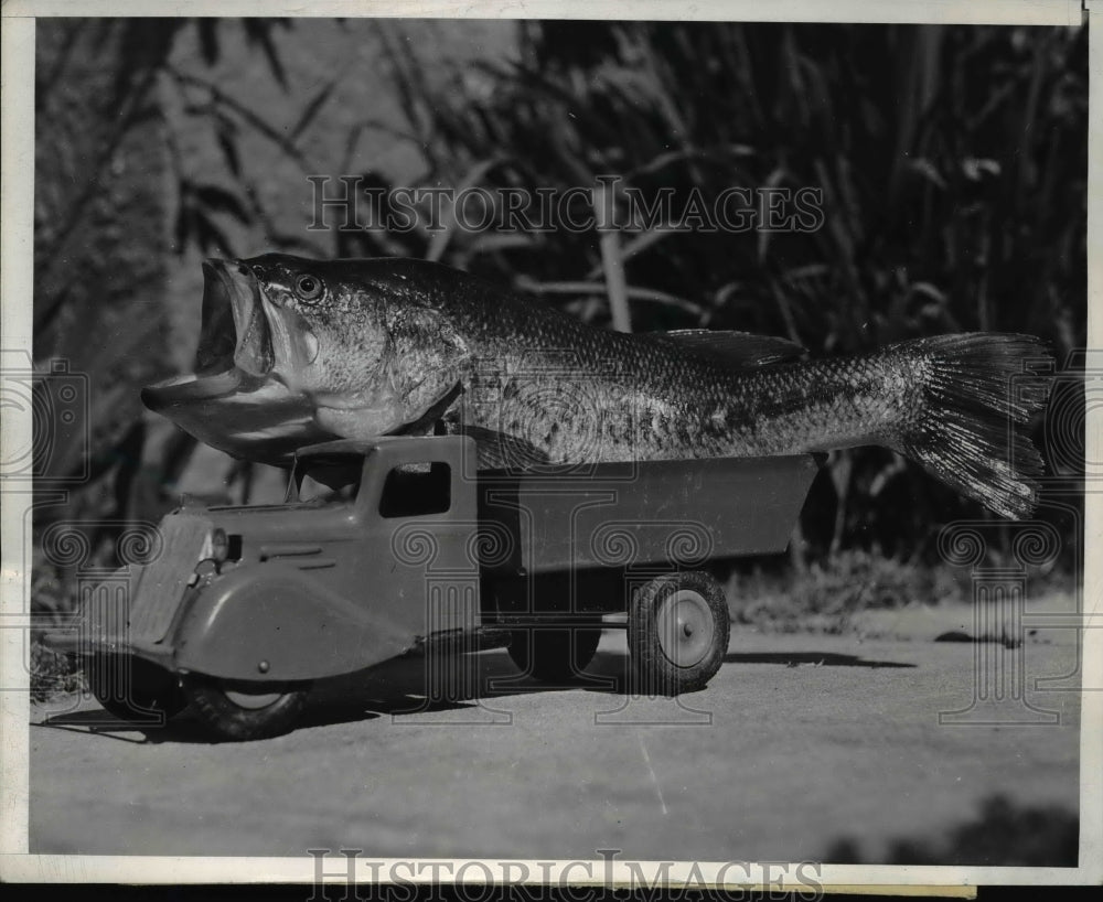 1939 Press Photo San Diego Calif A 4 pound bass caught by Harry Bishop in a toy