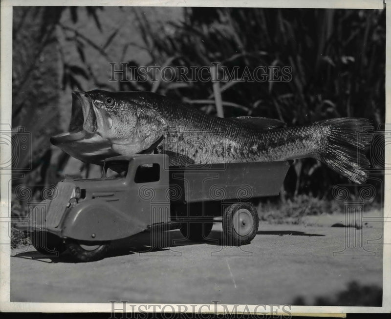Load image into Gallery viewer, 1939 Press Photo San Diego Calif A 4 pound bass caught by Harry Bishop in a toy
