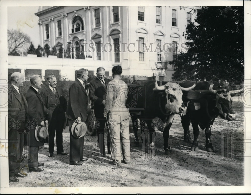 1931 Press Photo Pres Hoover, Lenville Hawkes ox cart driver, Sens Hale,