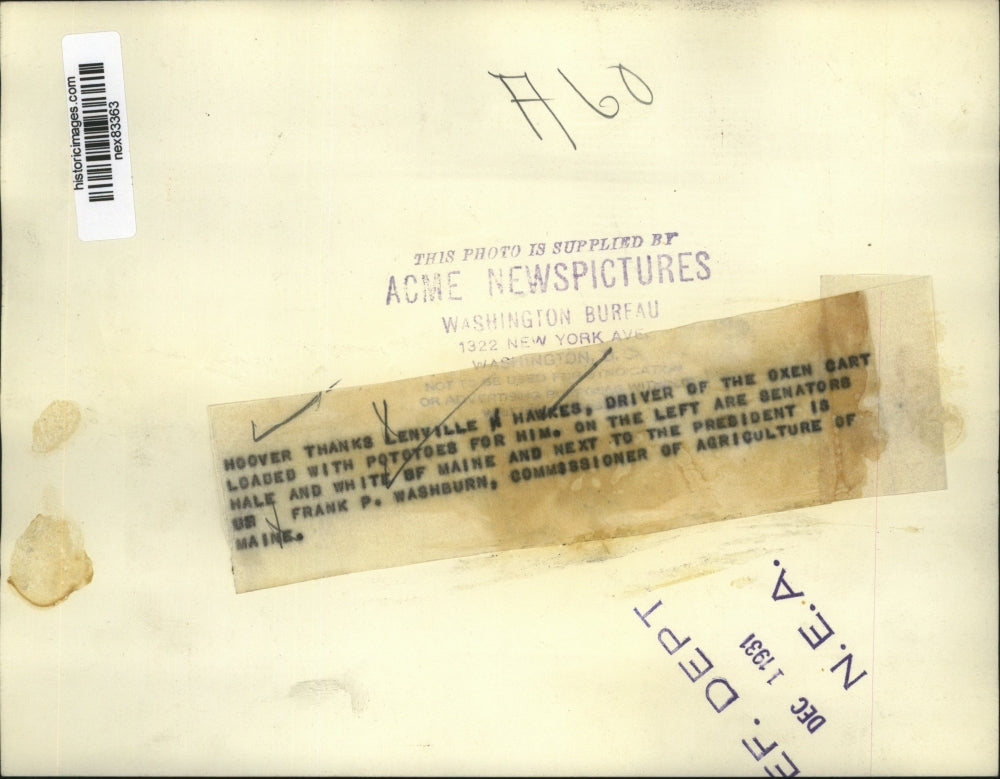 1931 Press Photo Pres Hoover, Lenville Hawkes ox cart driver, Sens Hale,