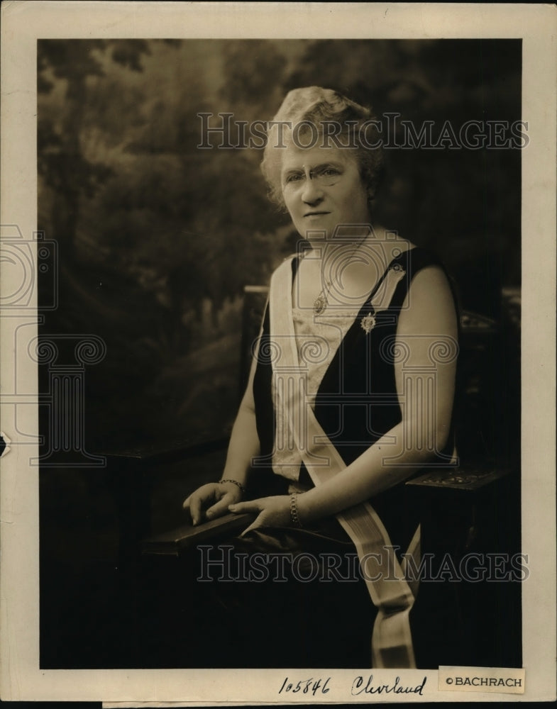 1929 Press Photo Mrs Lowell Fletcher Hobart Cinncinati Ohio for DAR- Historic Images