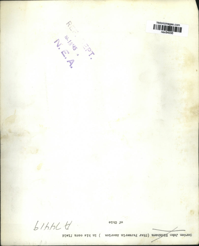 1945 Press Photo Gordon John Eichhorn a star American farmer in his fields