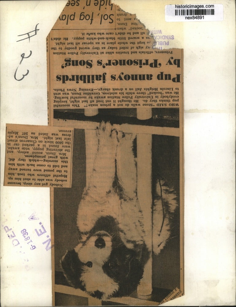 1938 Press Photo A pippy at University police station in jail cell - nex84891